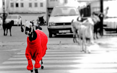 Standing Out In A Sea Full of Competitors