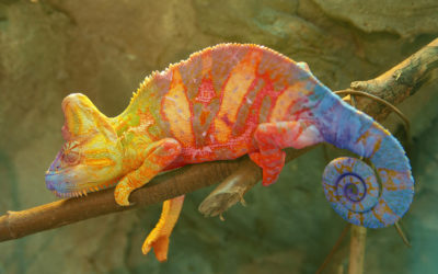 Ch-Ch-Changes With Google & What They Mean For Your Business