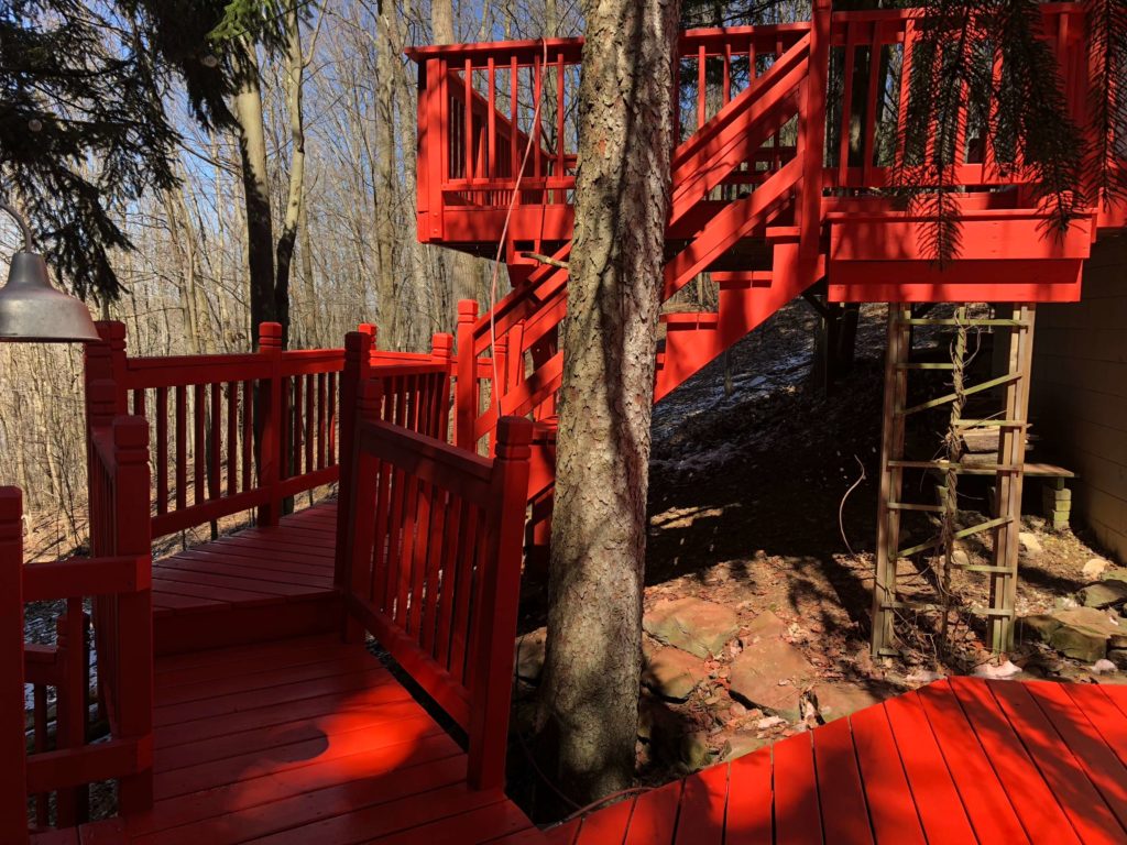Red-Deck-In-Woods