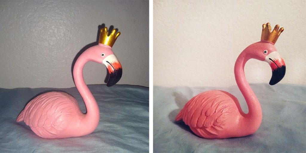 Photo-Of-Flamingo-Lawn-Ornament-Taken-With-And-Without-Flash