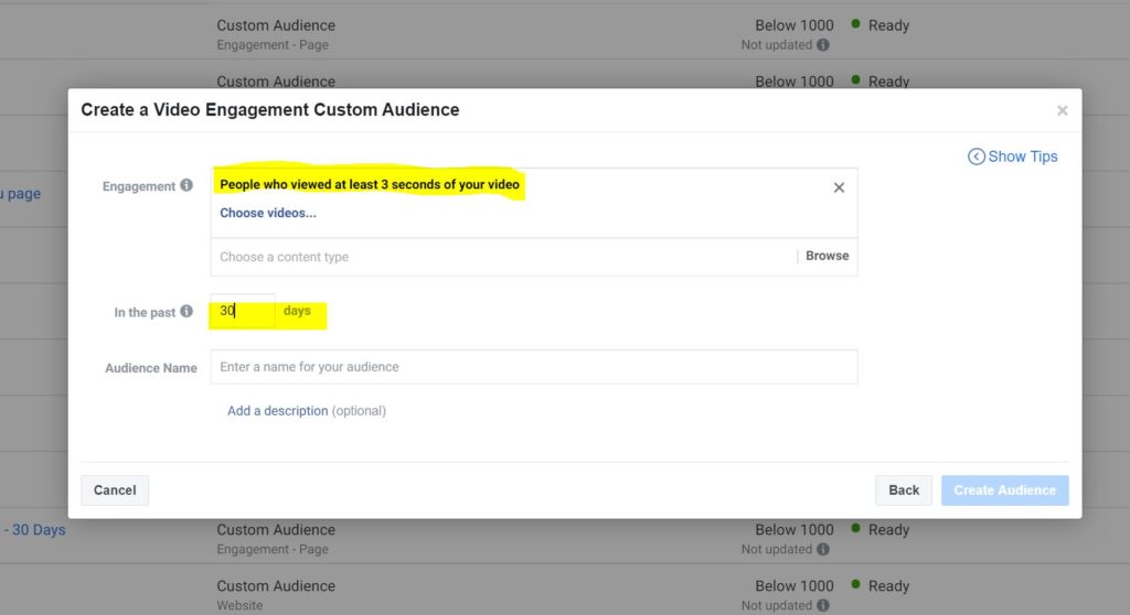 Custom-Video-Views-Audience-Facebook-Screenshot