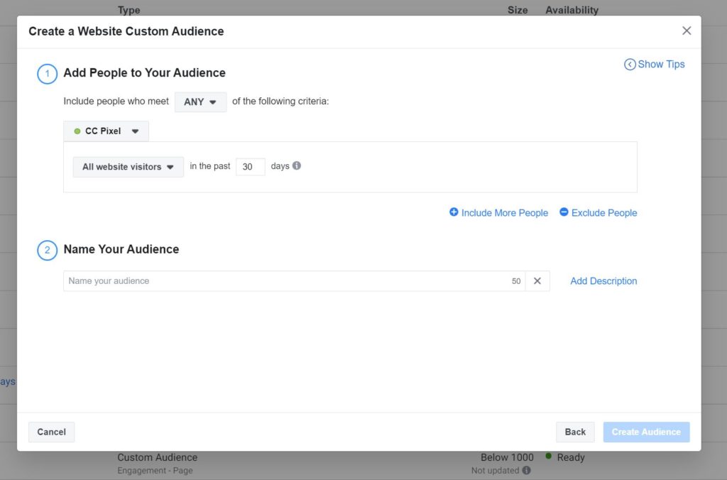 Custom-Website-Traffic-Audience-Facebook-Screenshot