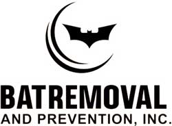 Bat Removal and Prevention